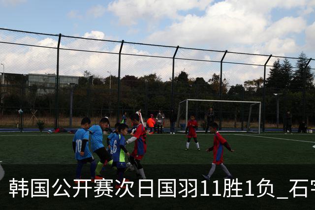 韩国公开赛次日国羽11胜1负 石宇奇李诗沣晋级